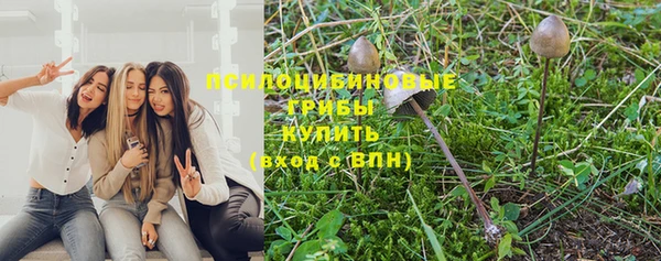 кокс Абдулино