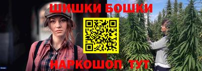 индика Гагарин