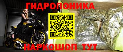 не бодяженный Гатчина
